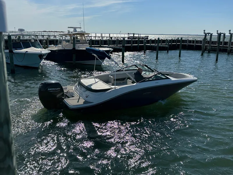 Slide: The Image of Sea Ray SPX 190 Outboard 2022 - 12