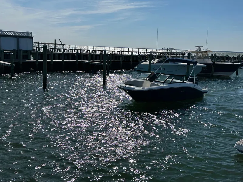 Slide: The Image of Sea Ray SPX 190 Outboard 2022 - 54