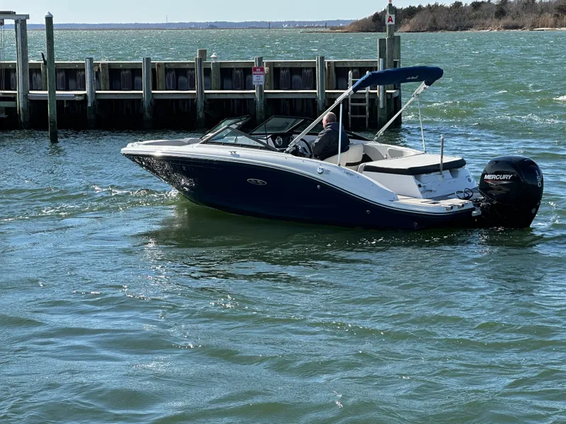 Slide: The Image of Sea Ray SPX 190 Outboard 2022 - 7