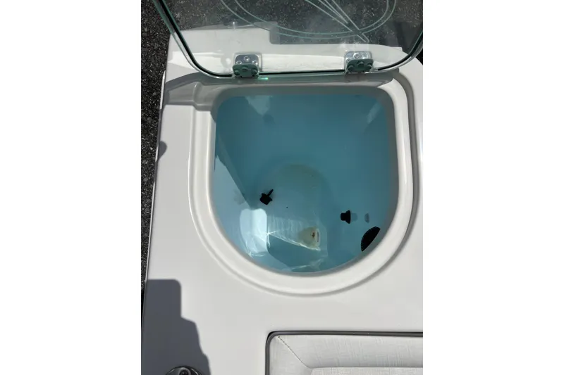 Slide: The Image of Livewell compartment on a 2021 Sailfish 242 CC boat, open lid view. - 23