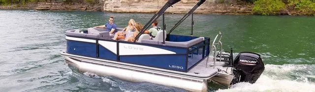 Slide: The Image of Lowe LS 190 2026 - 5