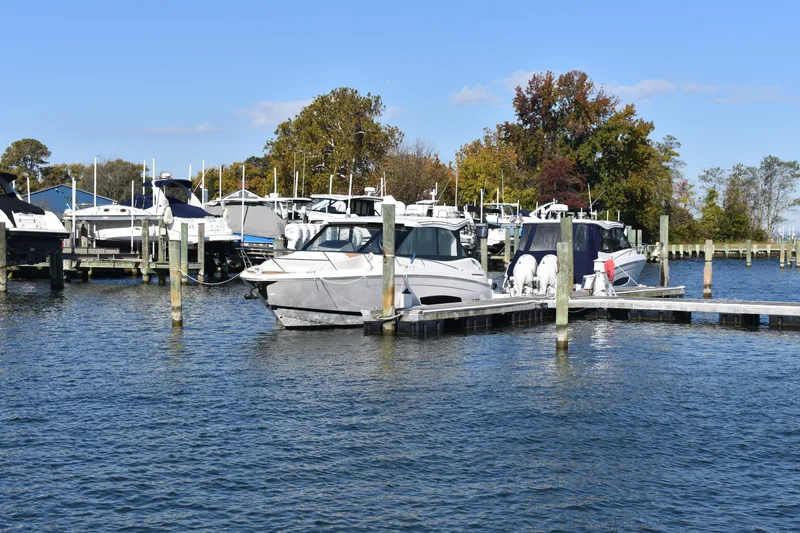 Slide: The Image of 2024 Regal 36 XO yacht docked at a marina with surrounding boats and trees. - 2