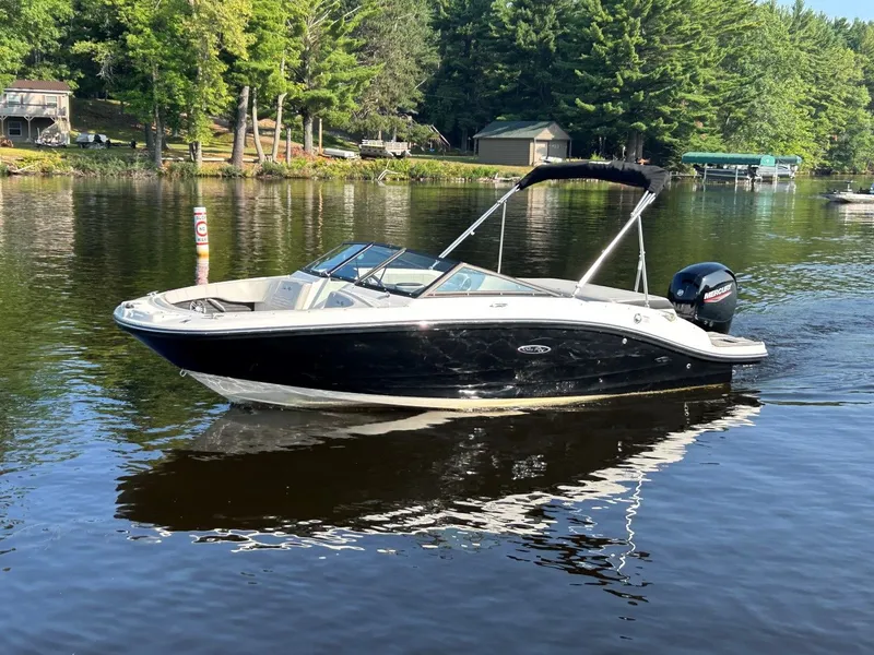 The Image of Sea Ray SPX 190 Outboard 2023 - 1