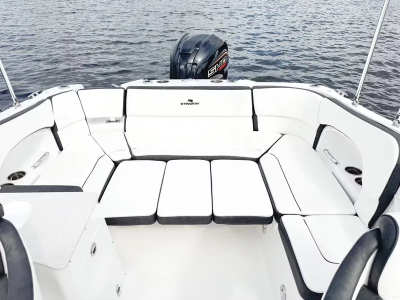 Slide: The Image of Stingray 231 DC 2026 - 11