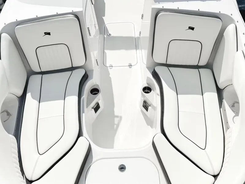 Slide: The Image of Stingray 231 DC 2026 - 4