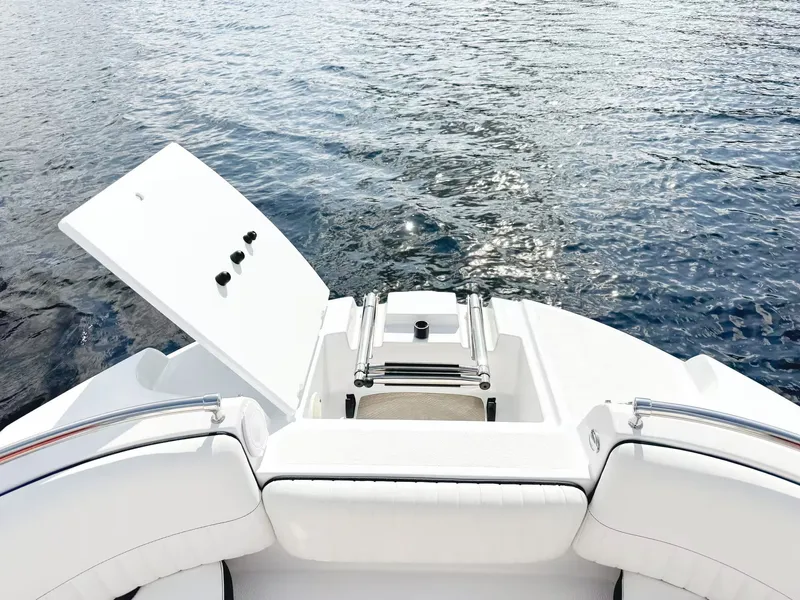 Slide: The Image of Stingray 231 DC 2026 - 6