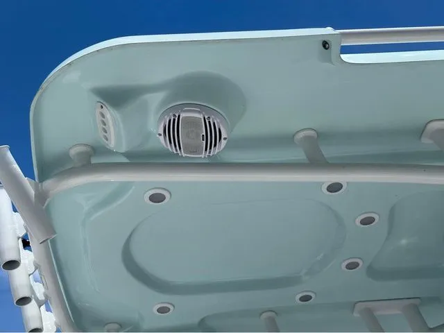 Slide: The Image of Sea Pro 250 DLX W/300HP 2025 - 13