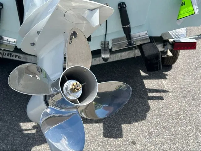 Slide: The Image of Sea Pro 250 DLX W/300HP 2025 - 7