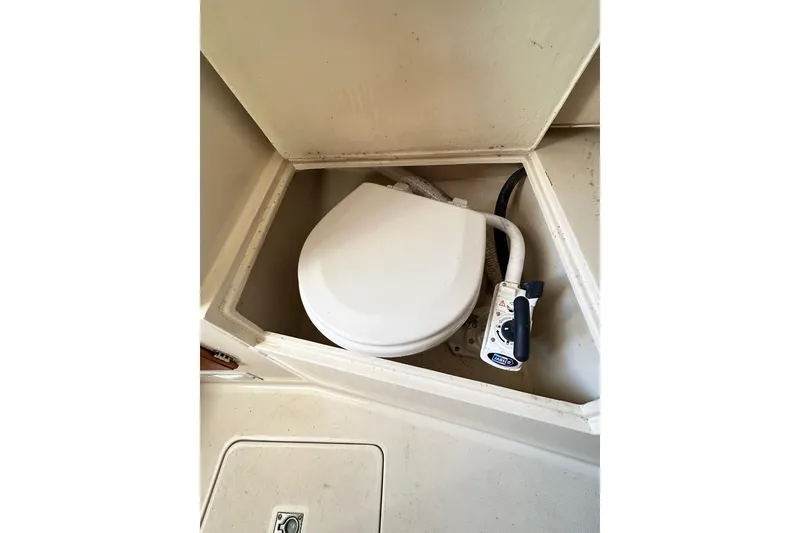 Slide: The Image of Head - 17