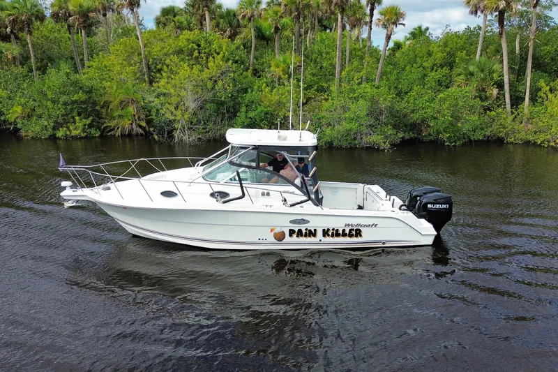 The Image of 2002 Wellcraft 290 Coastal boat named "Pain Killer" cruising on a scenic waterway. - 0