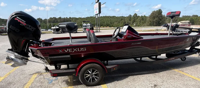 Slide: The Image of Vexus AVX1980 2021 - 8