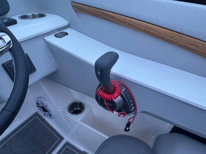 Slide: The Image of Regal LS9 2026 - 19