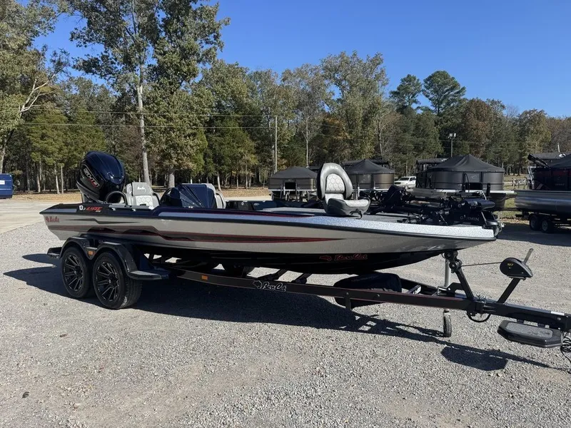 Slide: The Image of Bass Cat Eyra 2026 - 0