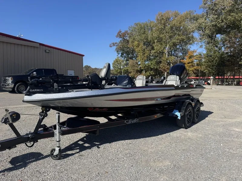 Slide: The Image of Bass Cat Eyra 2026 - 1