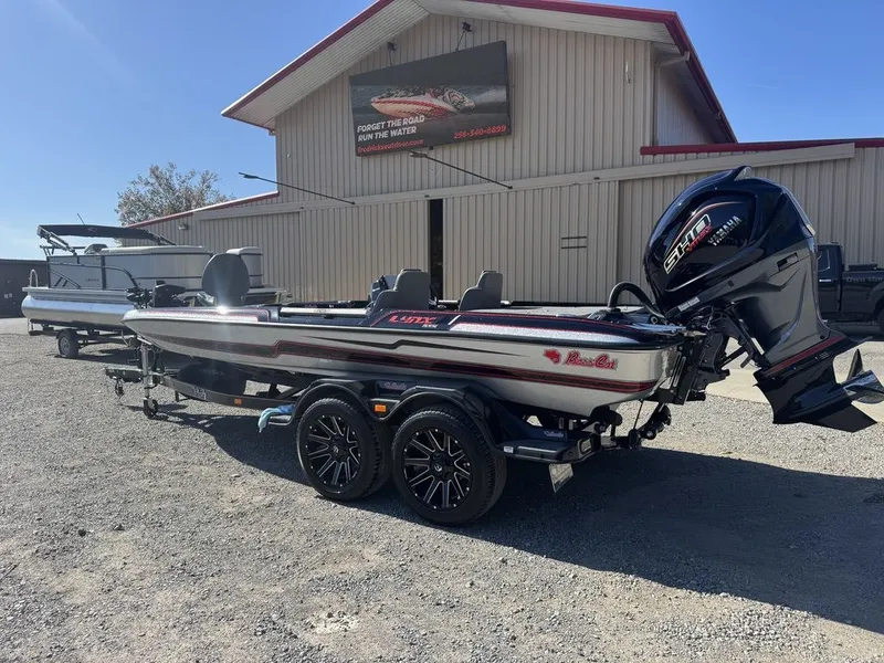 Slide: The Image of Bass Cat Eyra 2026 - 2