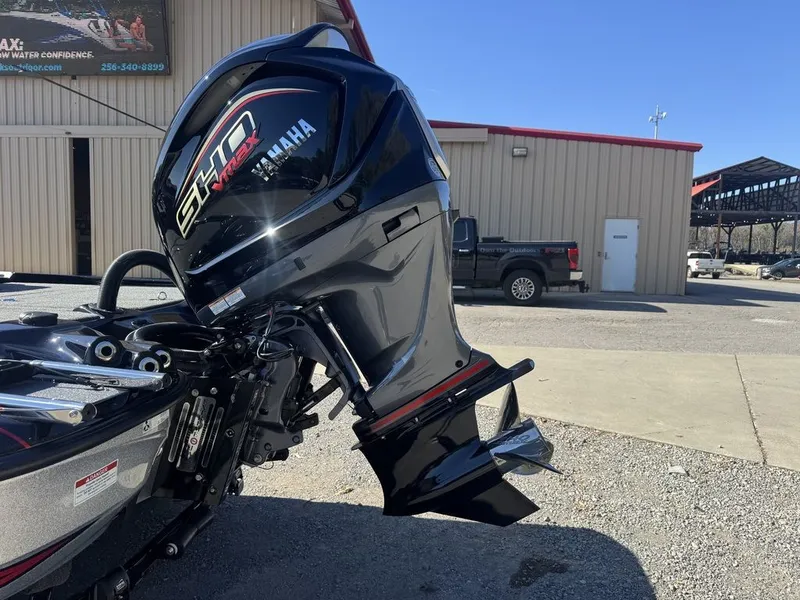 Slide: The Image of Bass Cat Eyra 2026 - 3