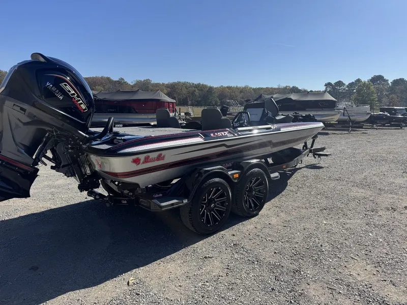 Slide: The Image of Bass Cat Eyra 2026 - 4