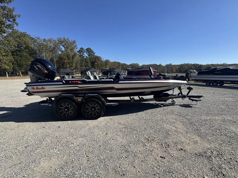 Slide: The Image of Bass Cat Eyra 2026 - 5