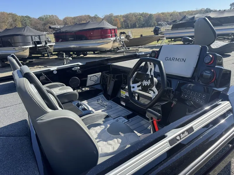 Slide: The Image of Bass Cat Eyra 2026 - 6