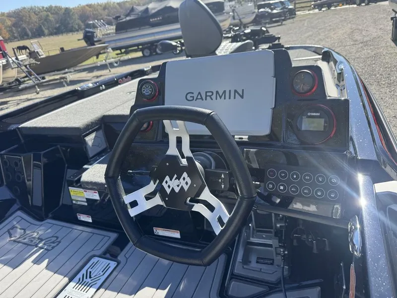 Slide: The Image of Bass Cat Eyra 2026 - 7