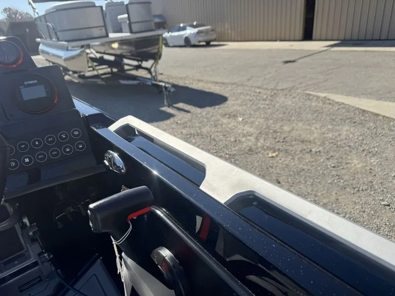 Slide: The Image of Bass Cat Eyra 2026 - 8