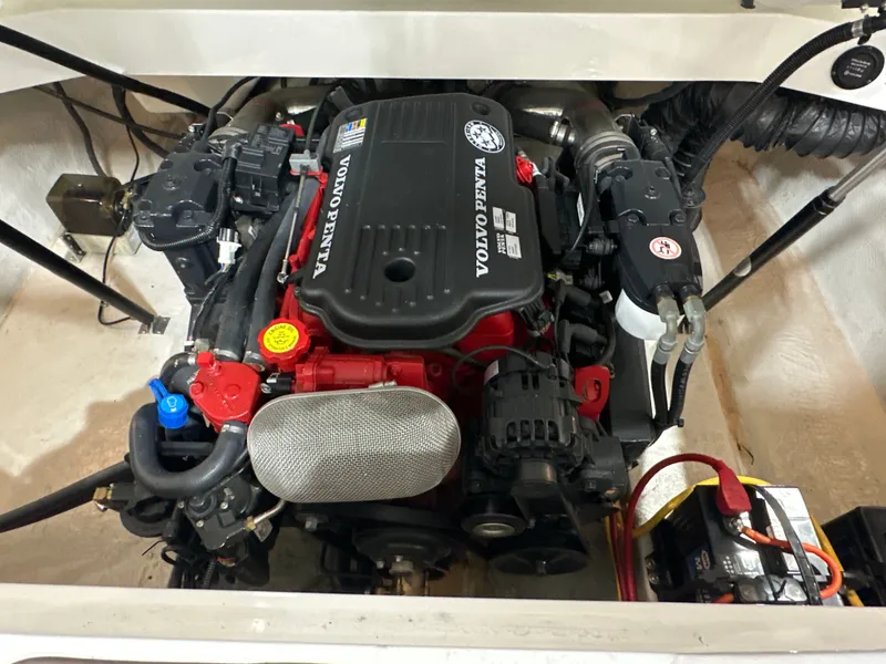 Slide: The Image of Cobalt 262 2006 - 17