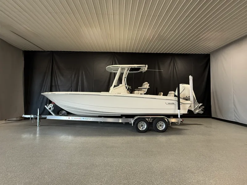 The Image of Boston Whaler 250 Dauntless 2026 - 0