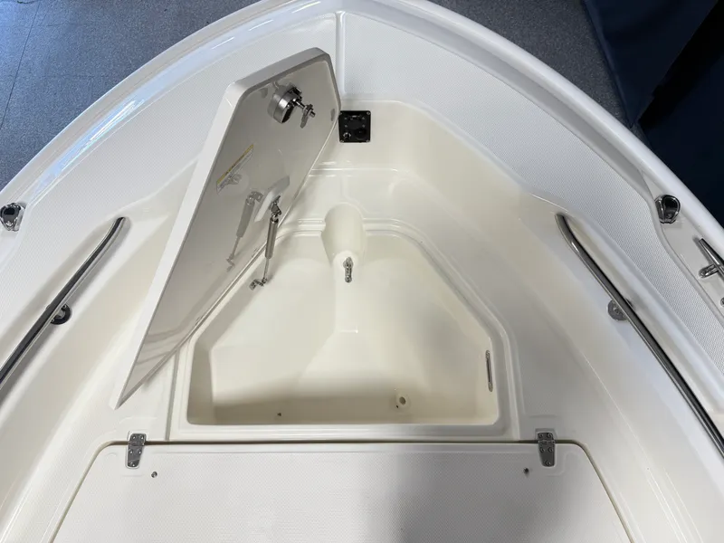 Slide: The Image of Boston Whaler 250 Dauntless 2026 - 100