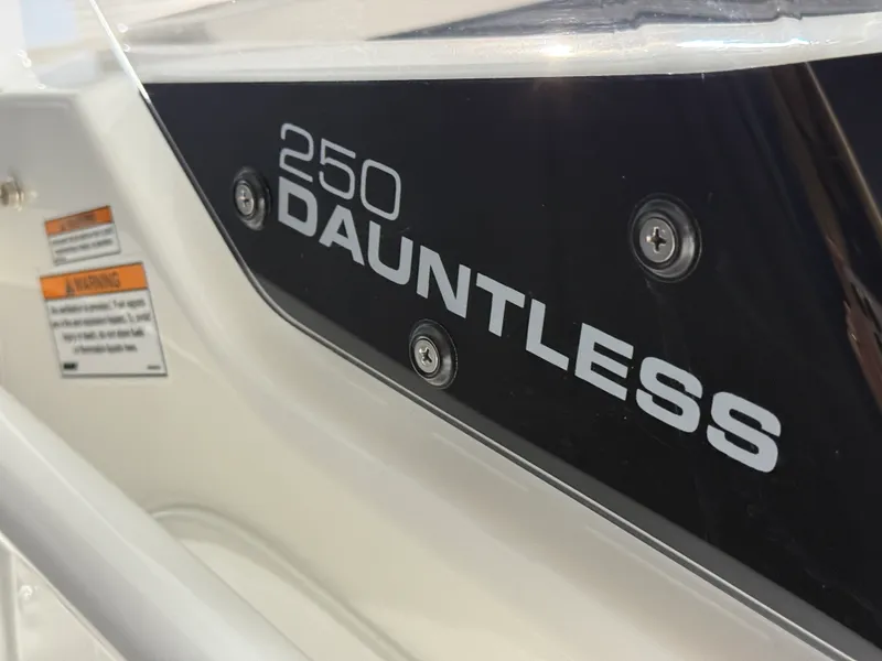 Slide: The Image of Boston Whaler 250 Dauntless 2026 - 104