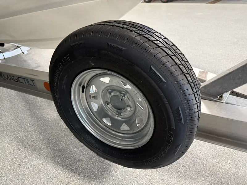 Slide: The Image of Boston Whaler 250 Dauntless 2026 - 124