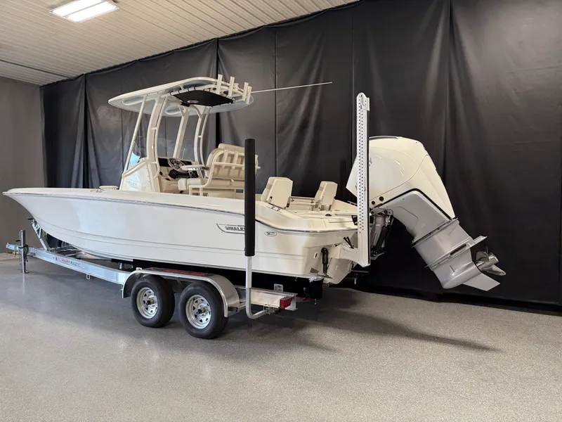 Slide: The Image of Boston Whaler 250 Dauntless 2026 - 3