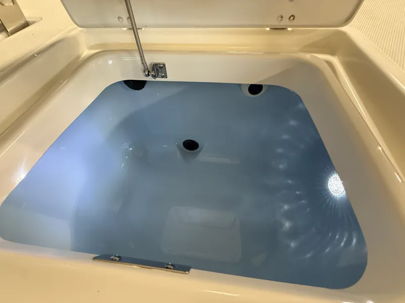 Slide: The Image of Boston Whaler 250 Dauntless 2026 - 32