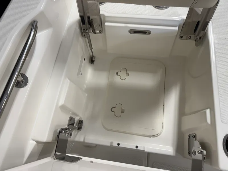 Slide: The Image of Boston Whaler 250 Dauntless 2026 - 35