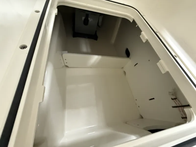 Slide: The Image of Boston Whaler 250 Dauntless 2026 - 36