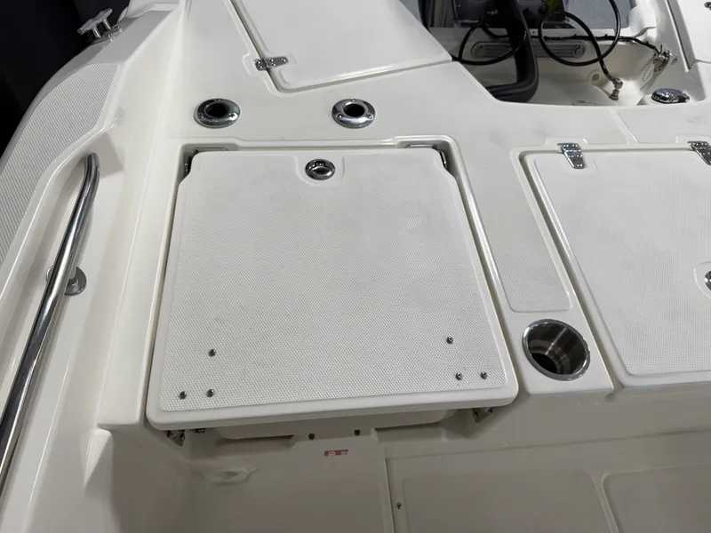 Slide: The Image of Boston Whaler 250 Dauntless 2026 - 38