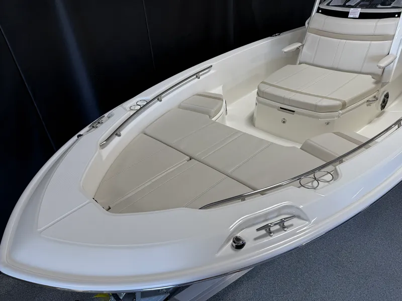 Slide: The Image of Boston Whaler 250 Dauntless 2026 - 5