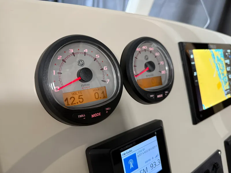 Slide: The Image of Boston Whaler 250 Dauntless 2026 - 53