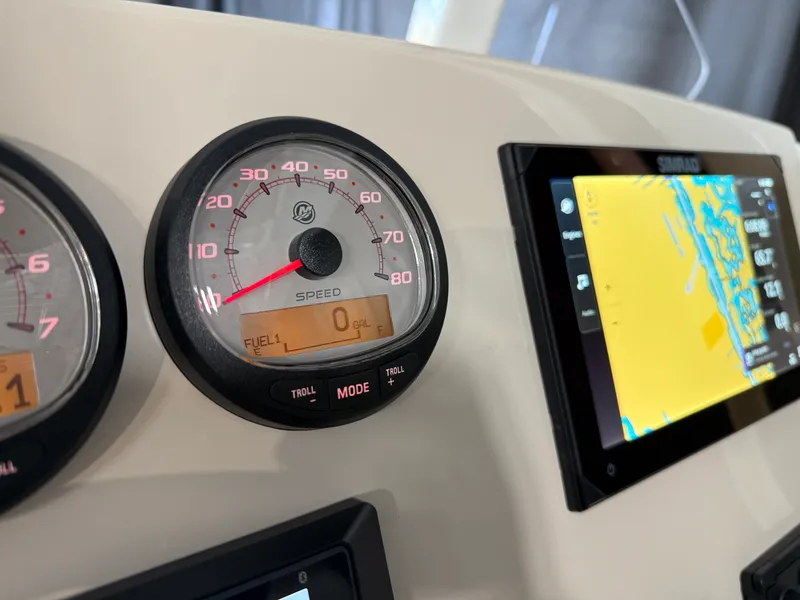 Slide: The Image of Boston Whaler 250 Dauntless 2026 - 54