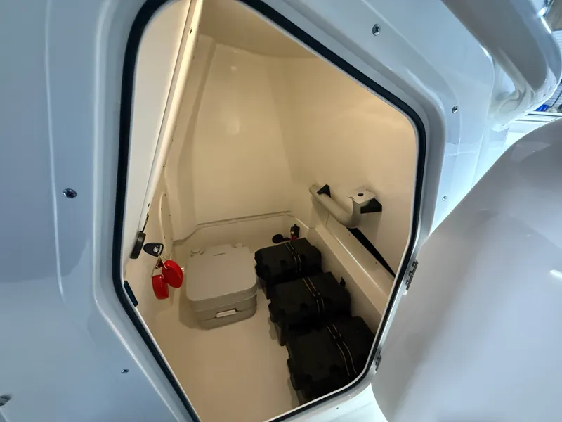 Slide: The Image of Boston Whaler 250 Dauntless 2026 - 71