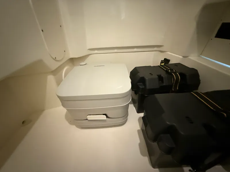 Slide: The Image of Boston Whaler 250 Dauntless 2026 - 73