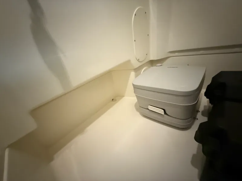 Slide: The Image of Boston Whaler 250 Dauntless 2026 - 74