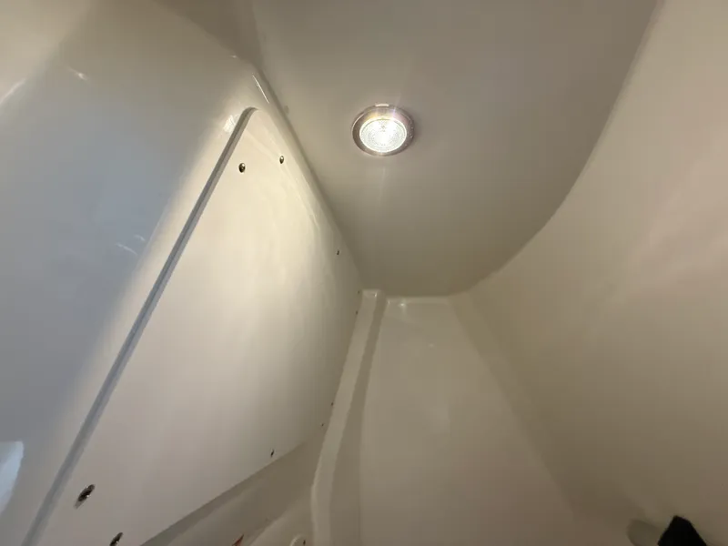 Slide: The Image of Boston Whaler 250 Dauntless 2026 - 77