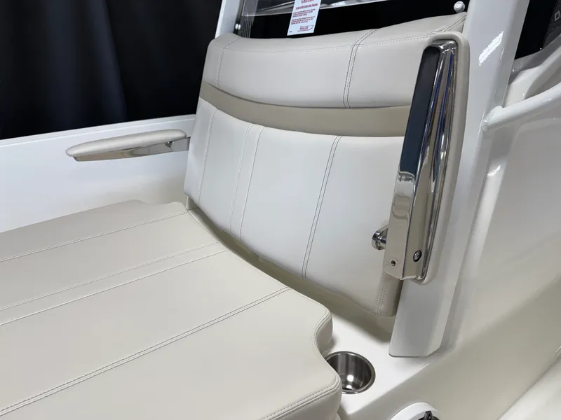 Slide: The Image of Boston Whaler 250 Dauntless 2026 - 84