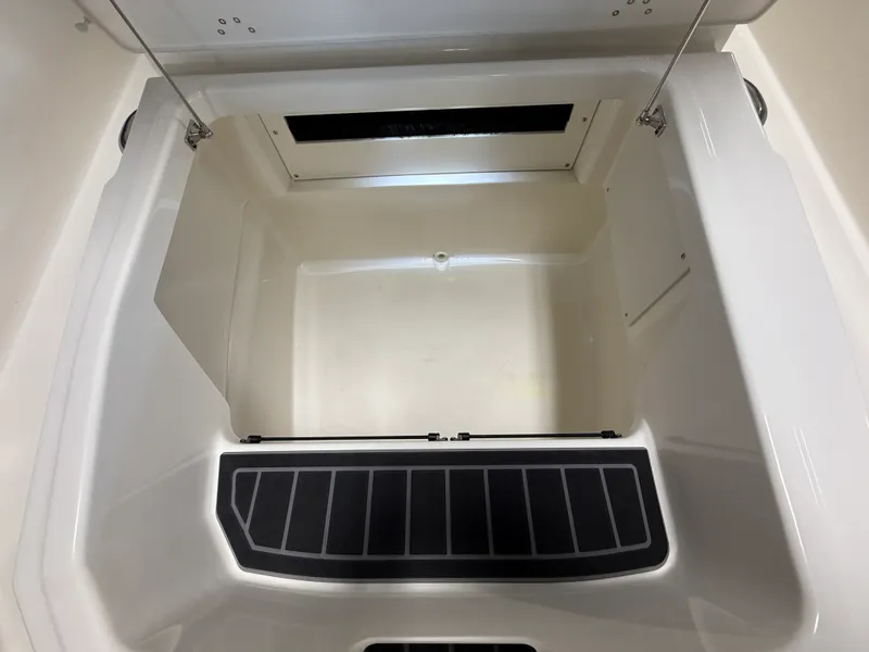 Slide: The Image of Boston Whaler 250 Dauntless 2026 - 88