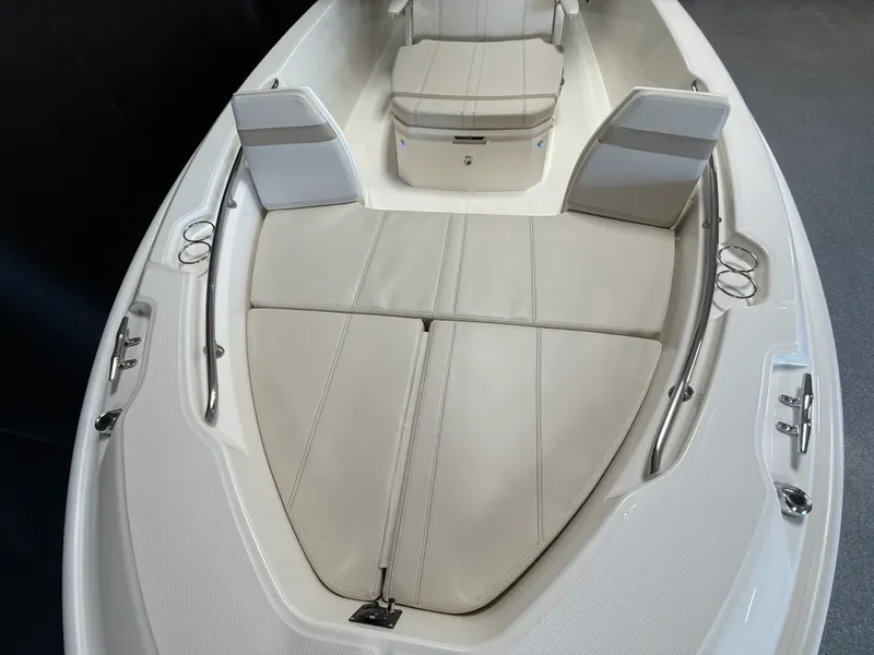 Slide: The Image of Boston Whaler 250 Dauntless 2026 - 97