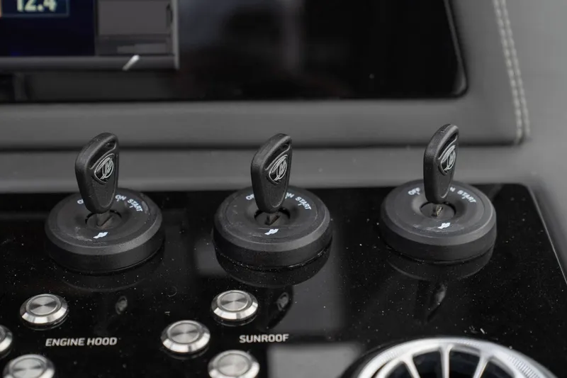 Slide: The Image of Schaefer 375 2025 - 61