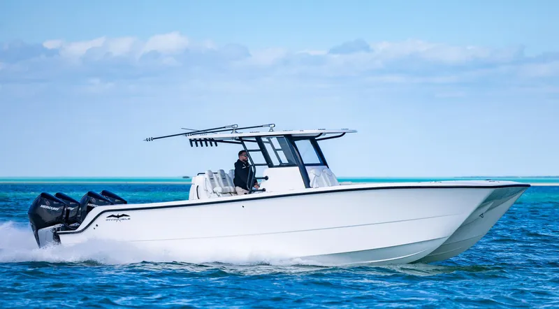 Slide: The Image of 2025 Invincible 35 Catamaran cruising on open water under clear skies. - 4