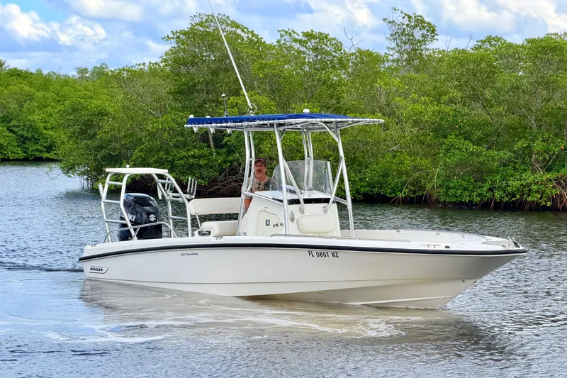 The Image of 2009 Boston Whaler 230 Dauntless boat cruising on a scenic river. - 0