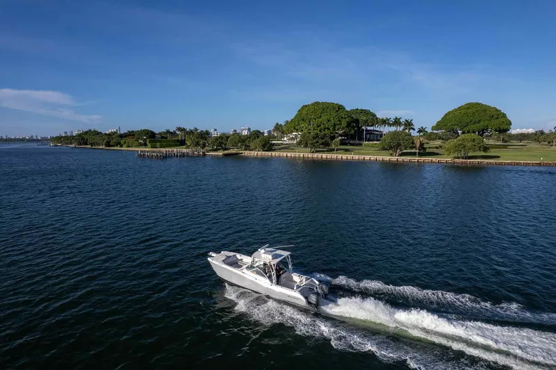 Slide: The Image of 2017 World Cat 295 DC cruising on a scenic waterfront with lush greenery. - 39