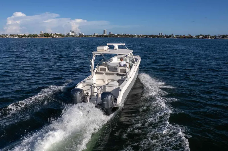 Slide: The Image of 2017 World Cat 295 DC cruising on open water with city skyline in background. - 47